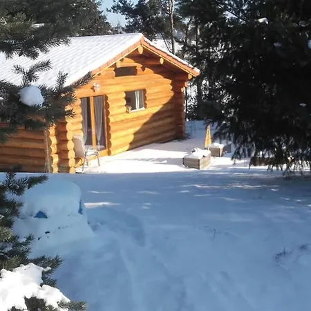 Pialous:chalet En Rondins Avec Espace Detente Vakantiehuis La Chapelle-d'Aurec