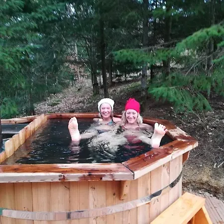 Pialous:chalet En Rondins Avec Espace Detente * La Chapelle-d'Aurec