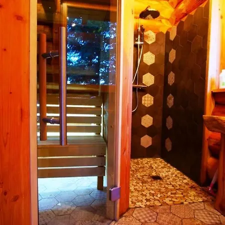 Holiday home Pialous:chalet En Rondins Avec Espace Detente La Chapelle-d'Aurec