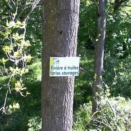 Pialous:chalet En Rondins Avec Espace Detente *