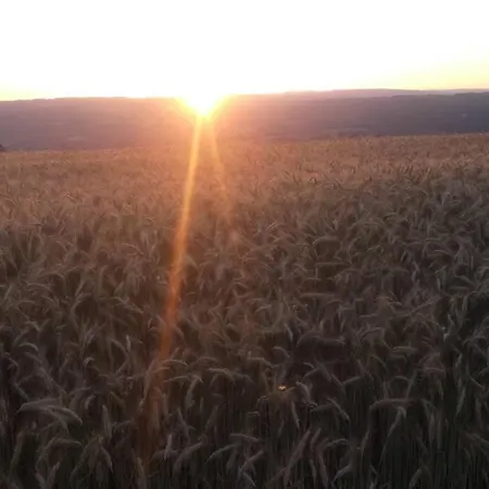 Pialous:chalet En Rondins Avec Espace Detente Дом отдыха La Chapelle-d'Aurec