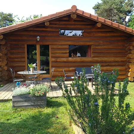 Holiday home Pialous:chalet En Rondins Avec Espace Detente La Chapelle-d'Aurec